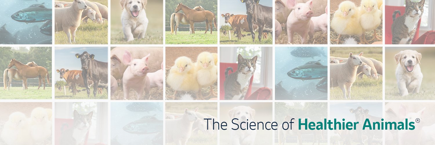 Merck Animal Health's banner