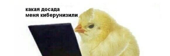 Ира Clorny's banner