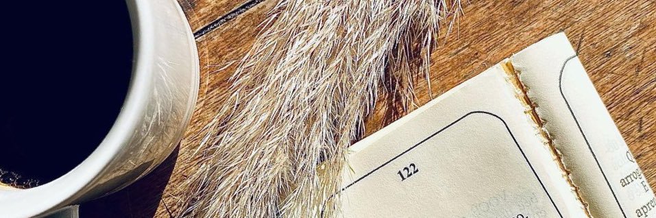 caroline trentini's banner