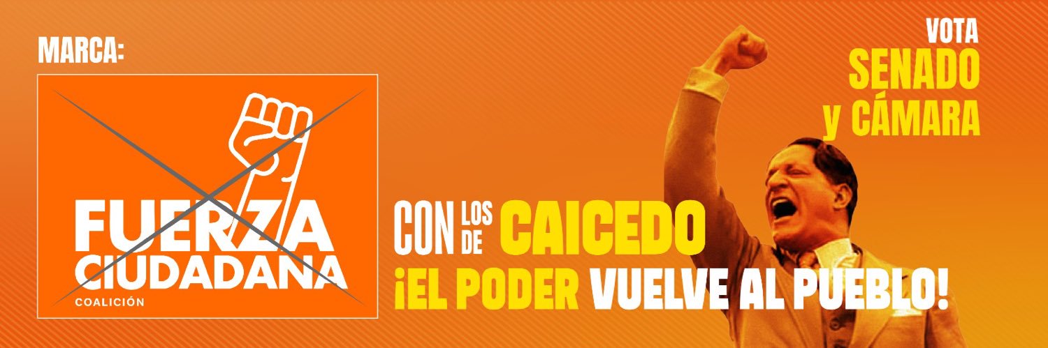 FUERZA CIUDADANA's banner