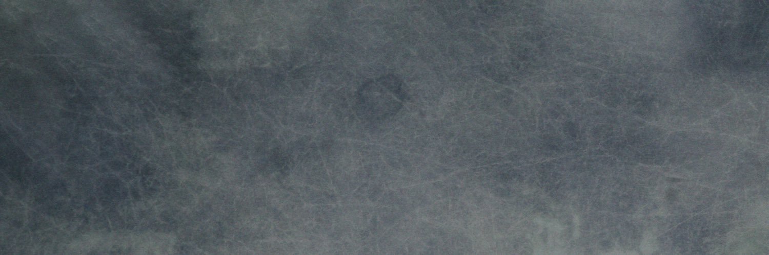 ZED's banner