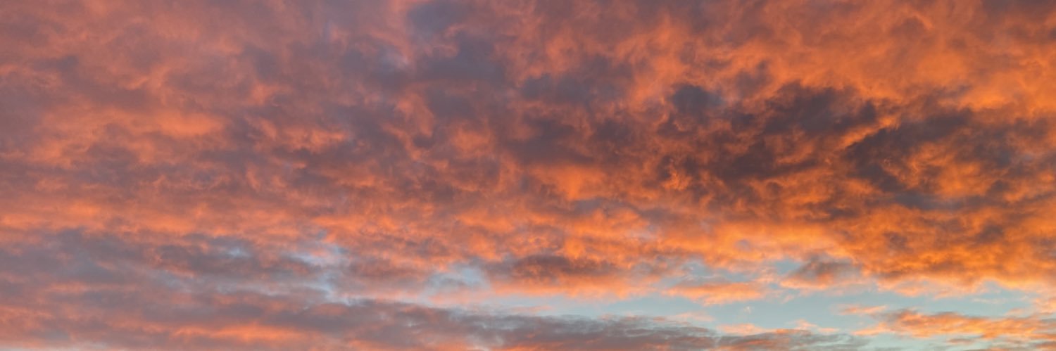 Cassie Steele's banner