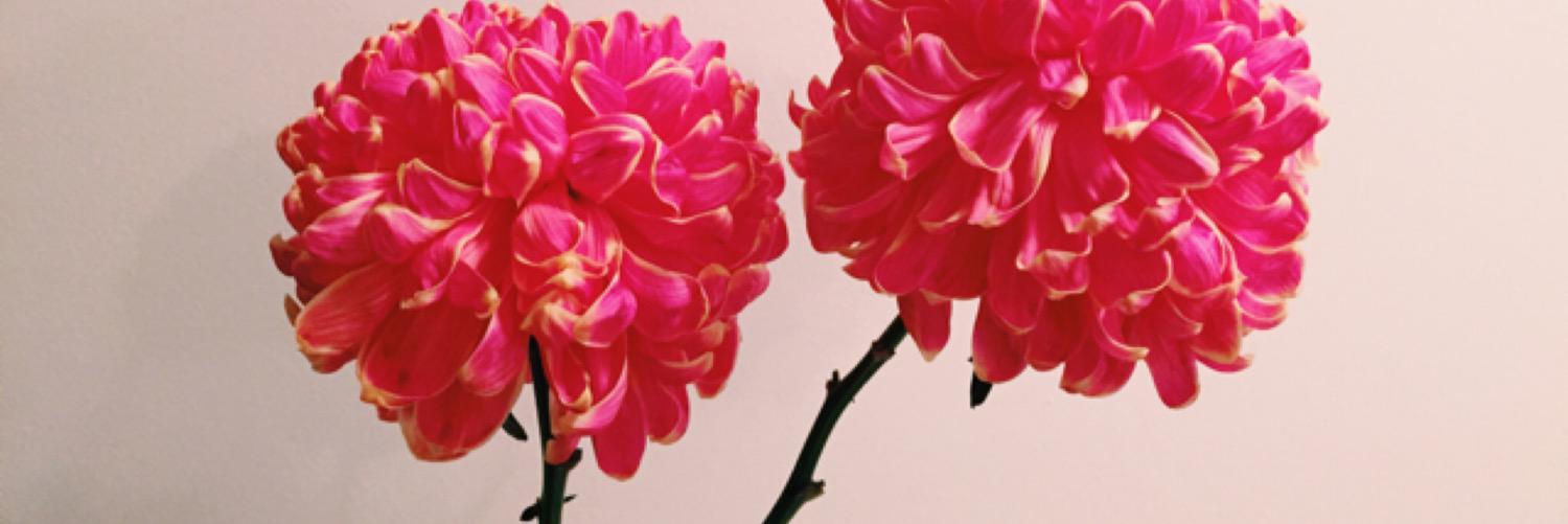 Lorraine Lam's banner