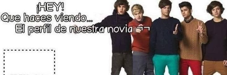 sofi's banner