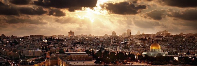 قتيبة الهاجري's banner
