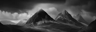 فاطمهہ هاشمی's banner