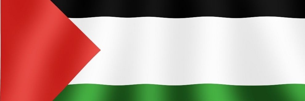 Mago Sagazzu🦎☭🇵🇸🗝 👉✌️'s banner