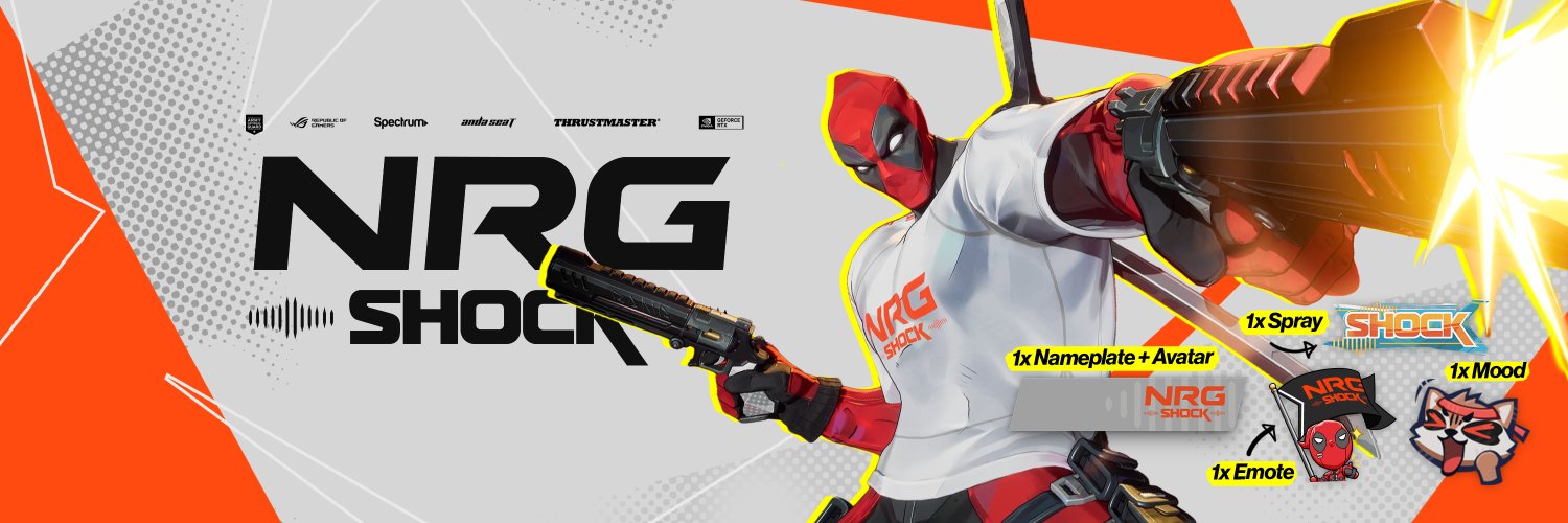NRG Shock's banner