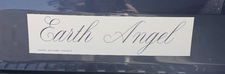emily's banner
