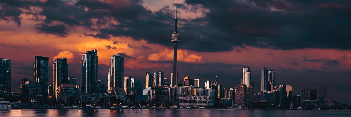 Swing Trader's banner