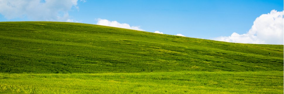 ninja_muffin99 🆖's banner