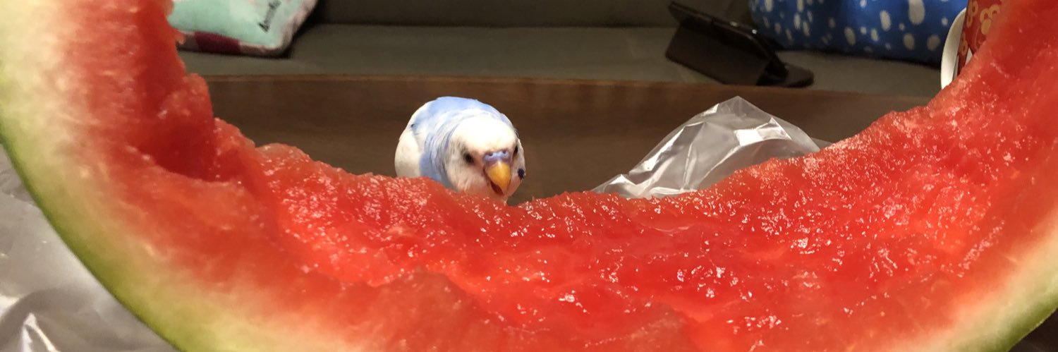 ももち's banner