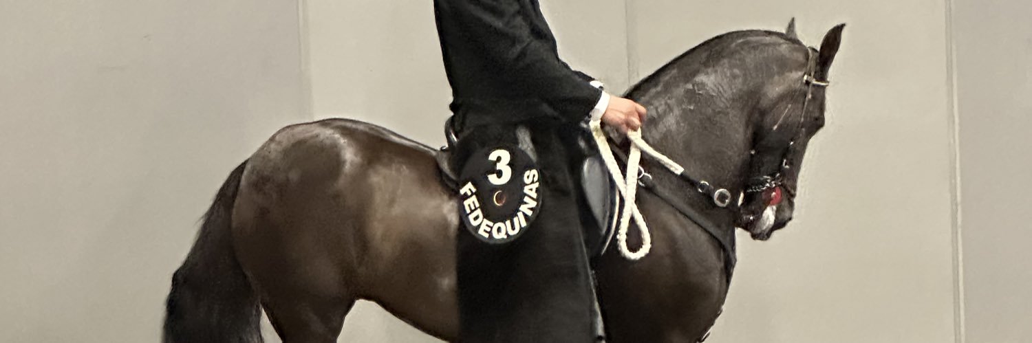 Sarita Ostos's banner