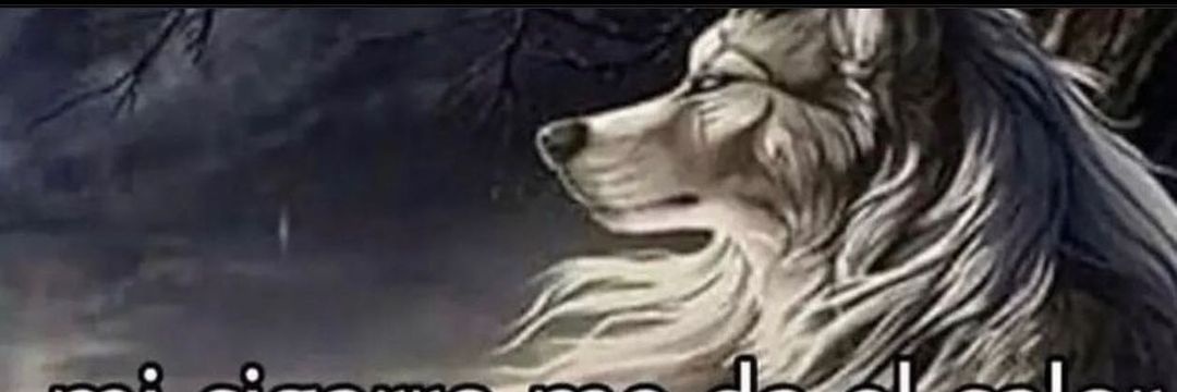 Delos⚡'s banner