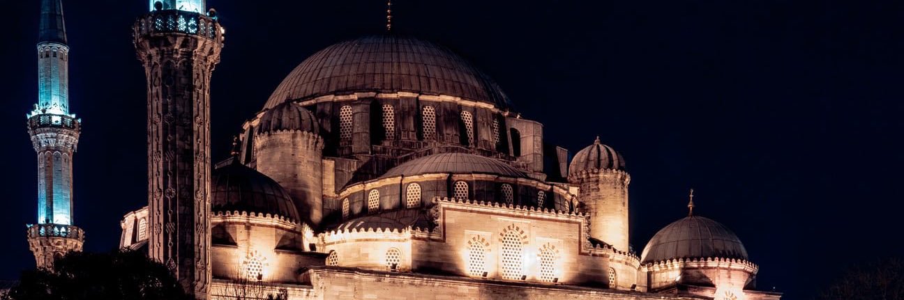 Lylia|ليليا🌹🇵🇸's banner