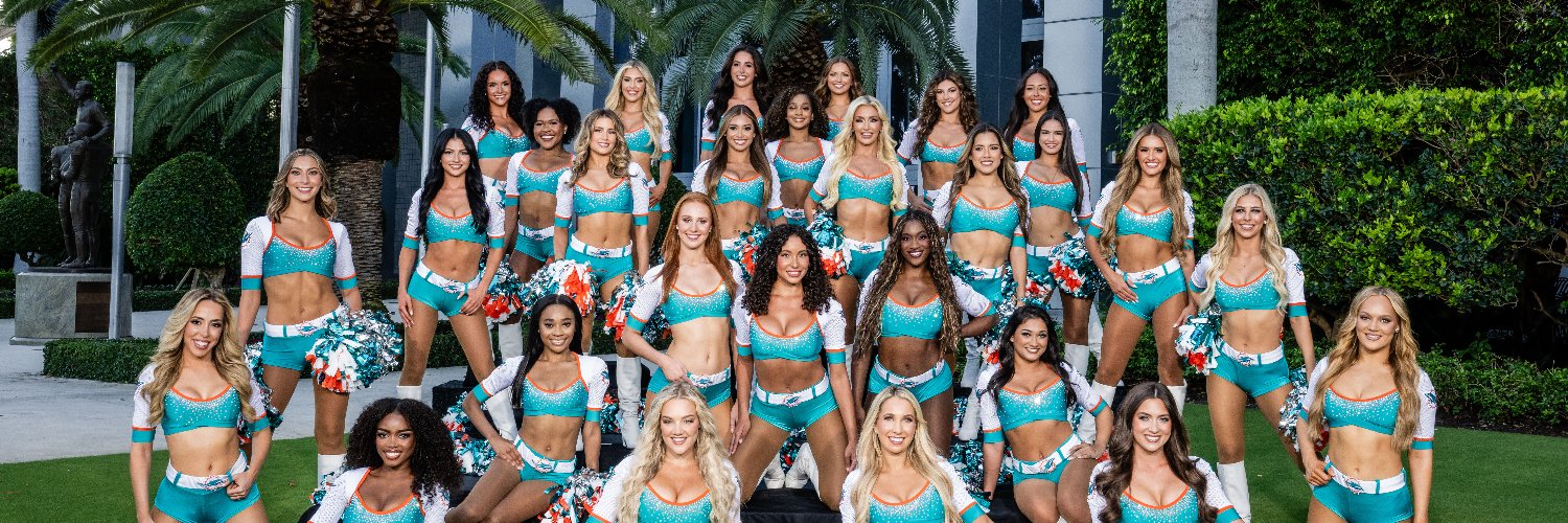 Miami Dolphins Cheer's banner