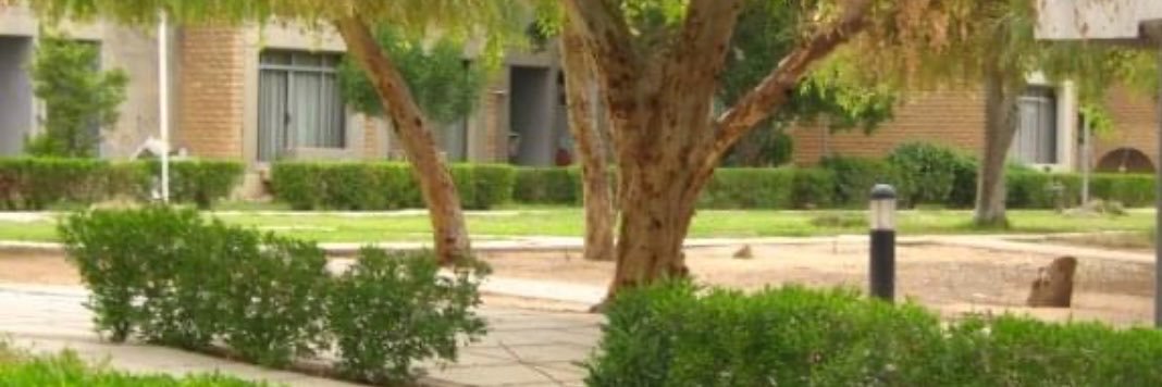 فيصل صقر's banner
