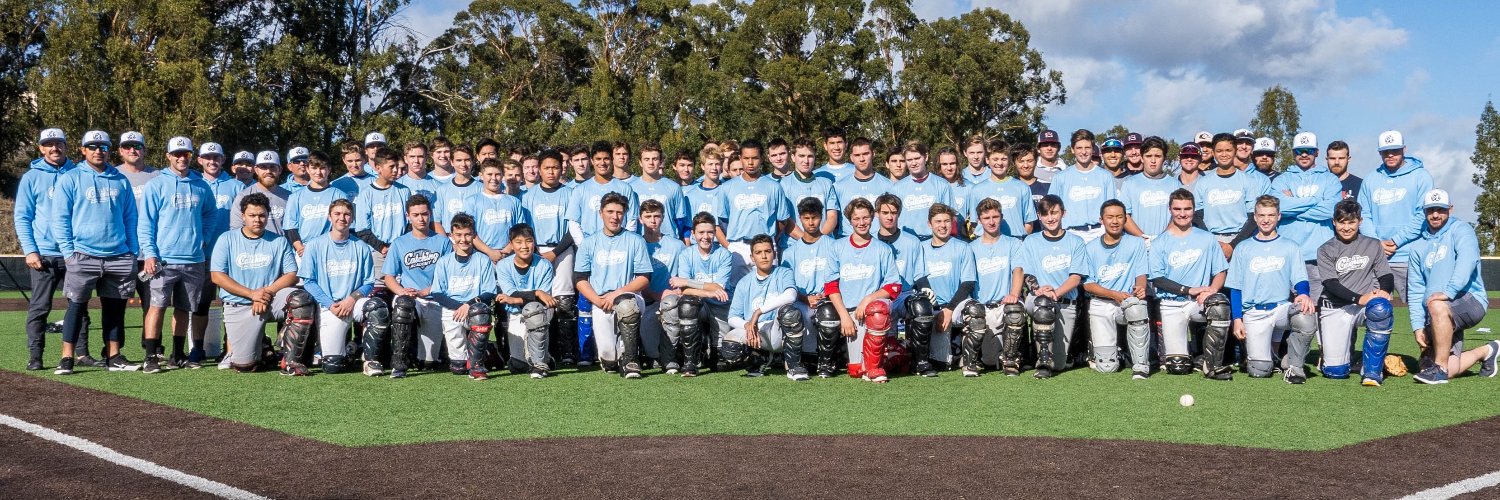 The Catching Academy's banner