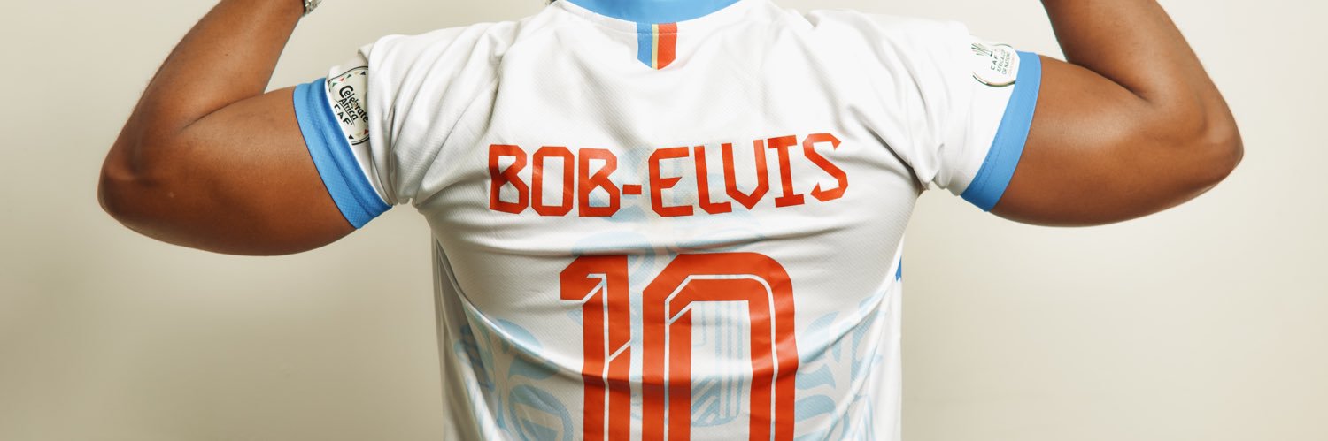 Bob Elvis Officiel's banner