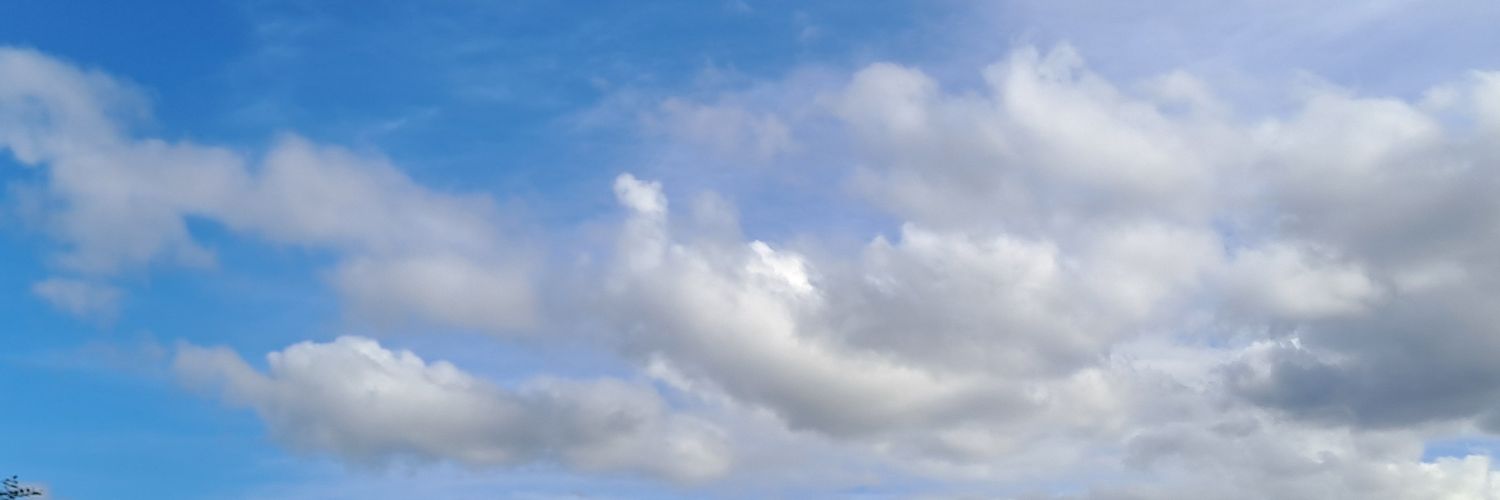 Javier Jové's banner