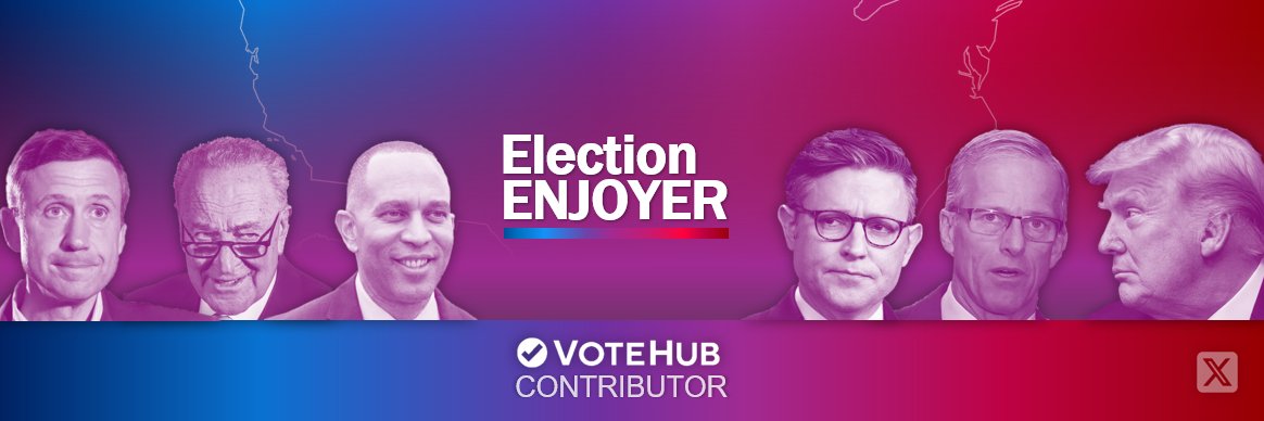 Election Enjoyer's banner
