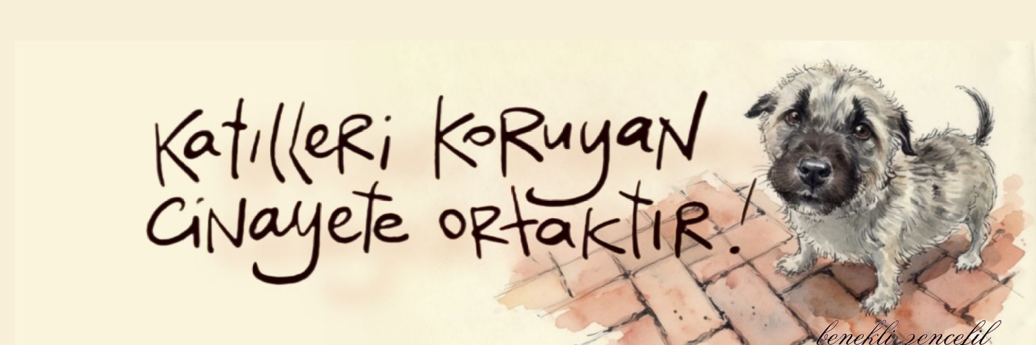 Nurcan Başkavak's banner