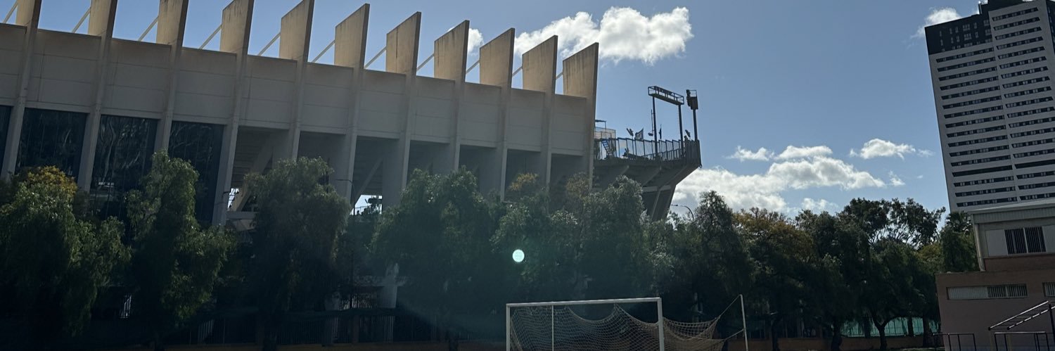 David Picón's banner
