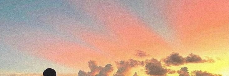 Esscanorrr's banner
