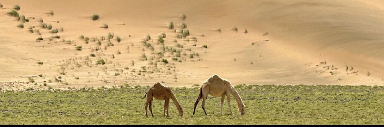 مصعب الخنفري's banner