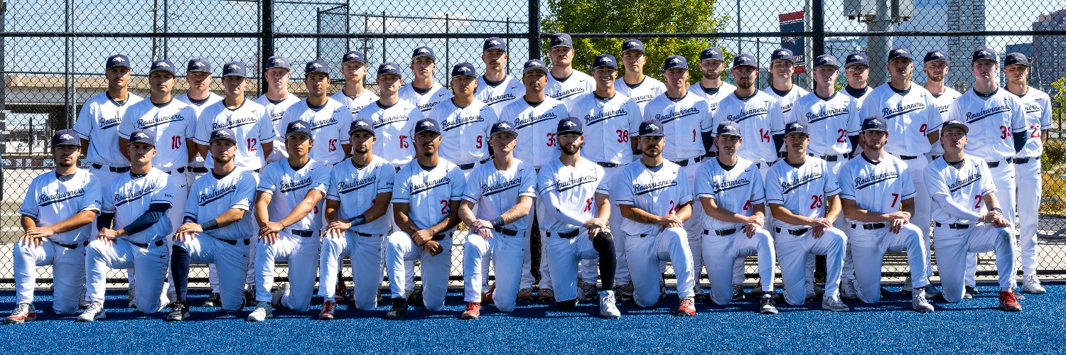 MSU Denver Baseball's banner