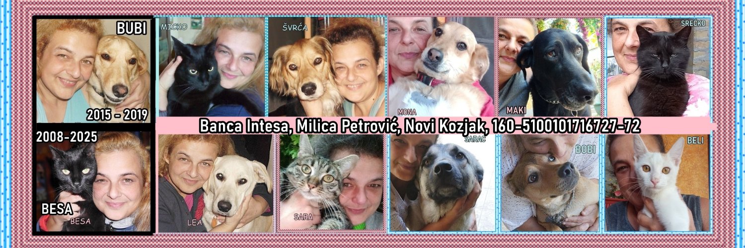 Milica Petrović's banner