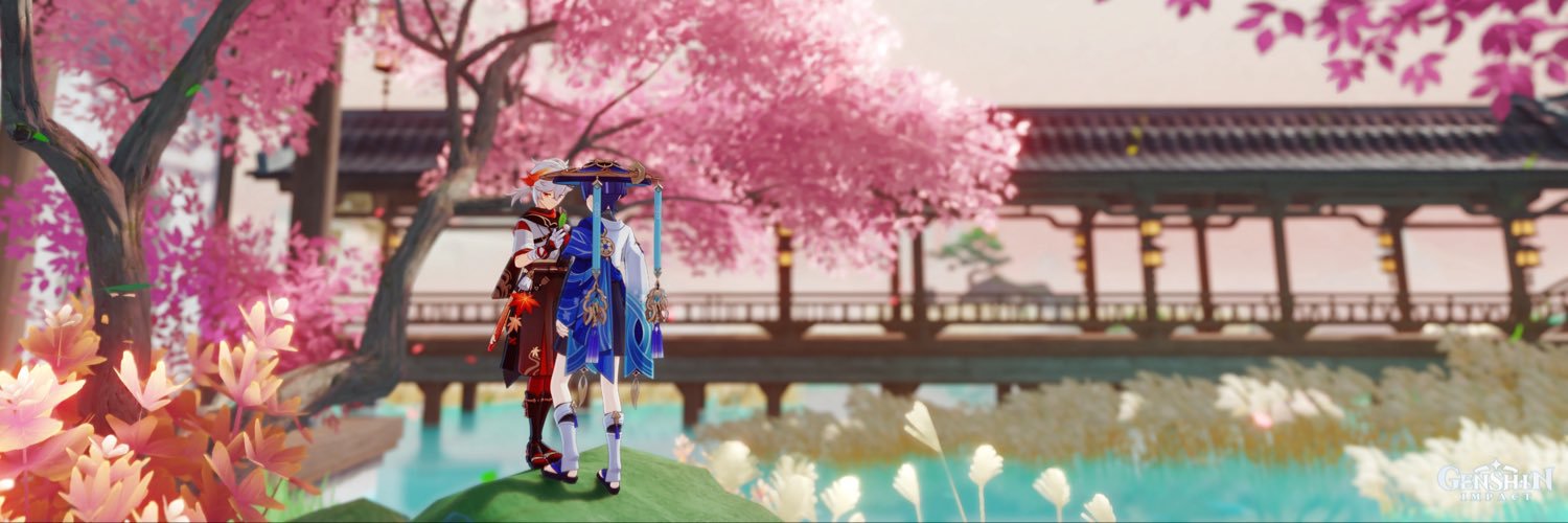Meena's banner