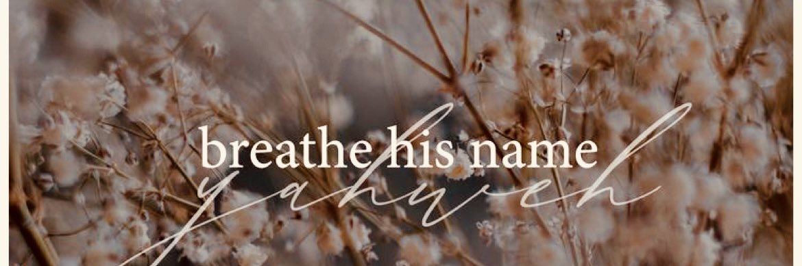 Aunty Kitty's banner