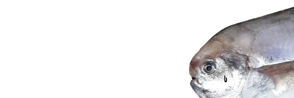 계명진 / kye's banner