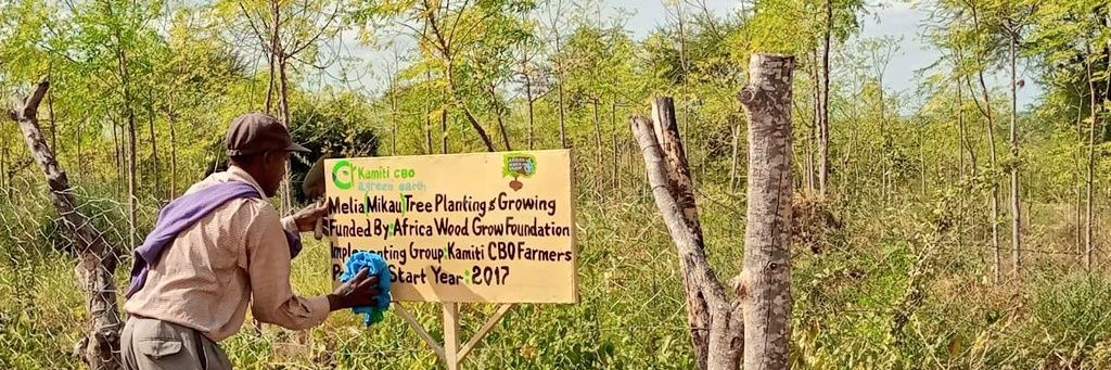 Africa Wood Grow's banner