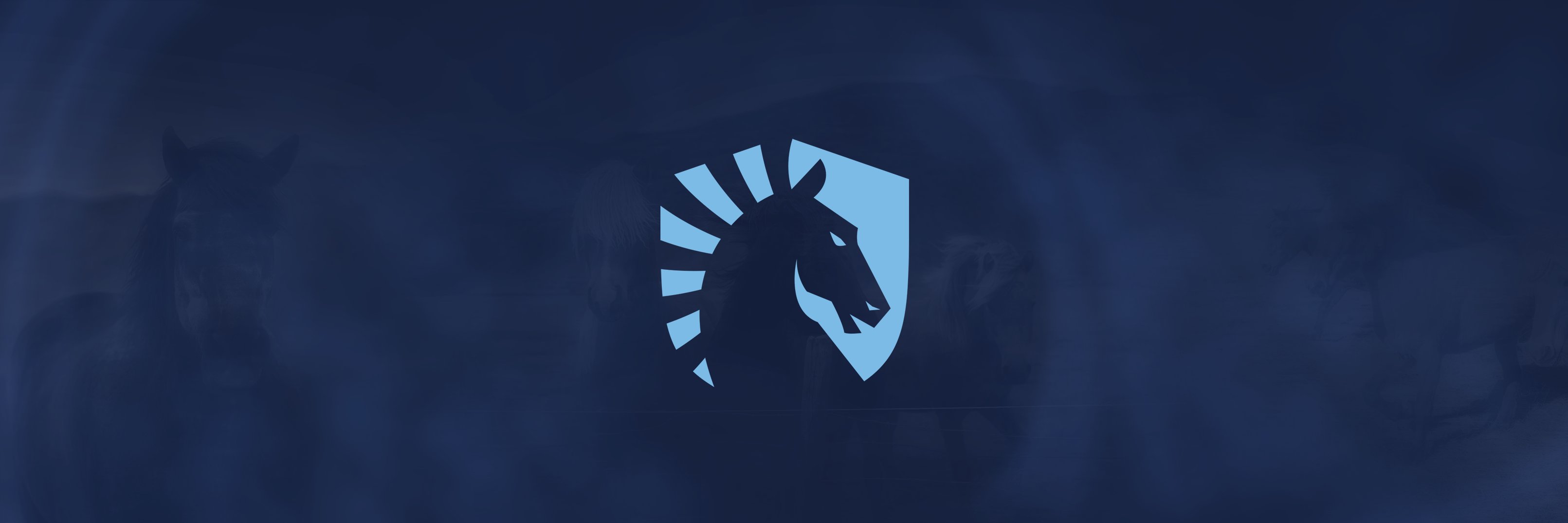 TLnet's banner