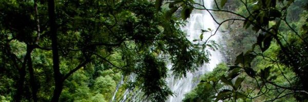 ✧yeni's ego told her to✧'s banner
