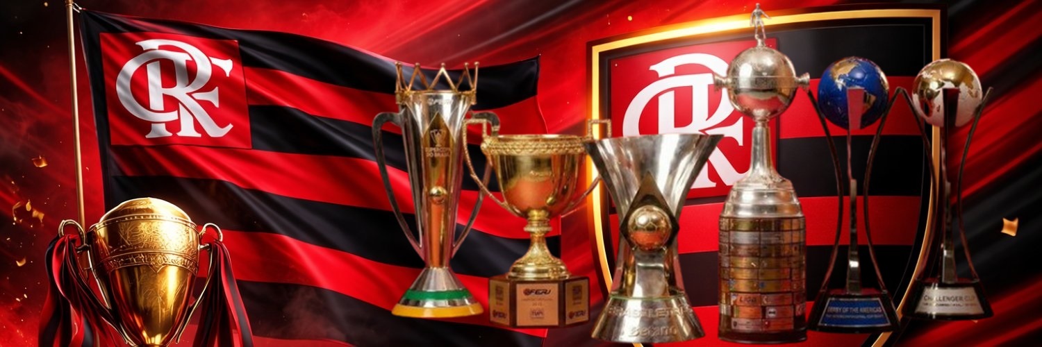 🇧🇷 Flamengo Brazil's banner