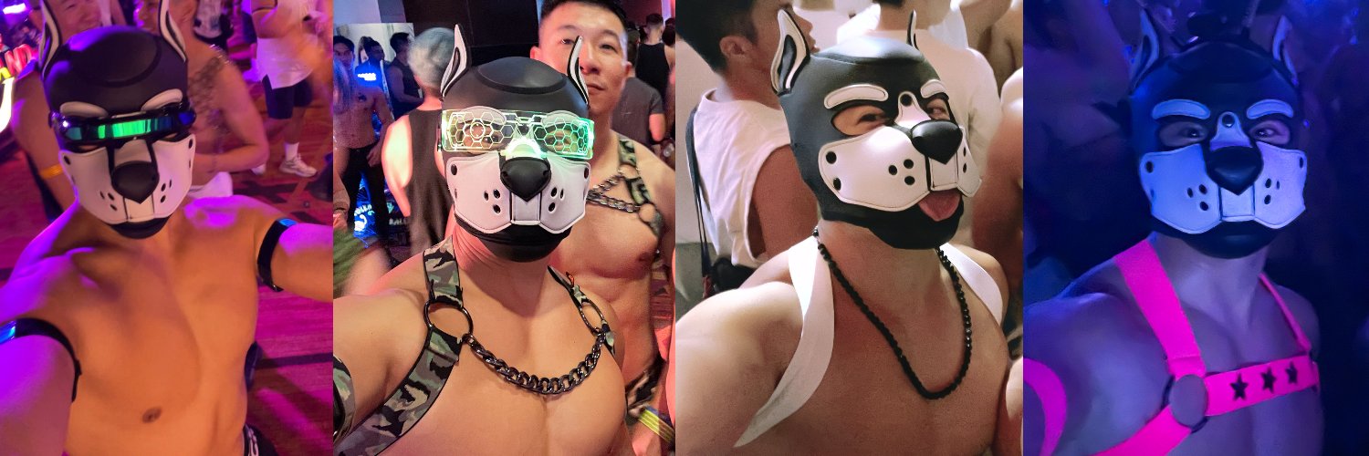 Monkeygogo's banner