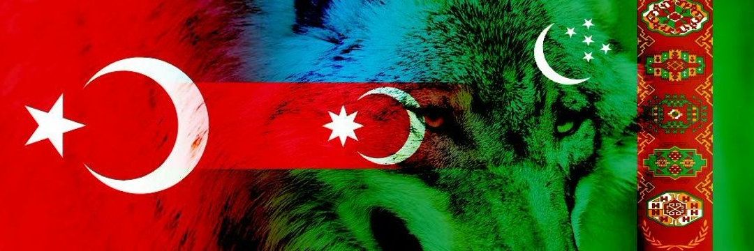 Oğuz Kağan 🐺 𐰆𐰍𐰆𐰔 𐰴𐰍𐰣's banner