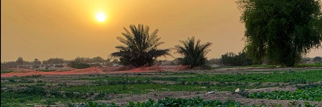 يوميات مواطن حساوي's banner