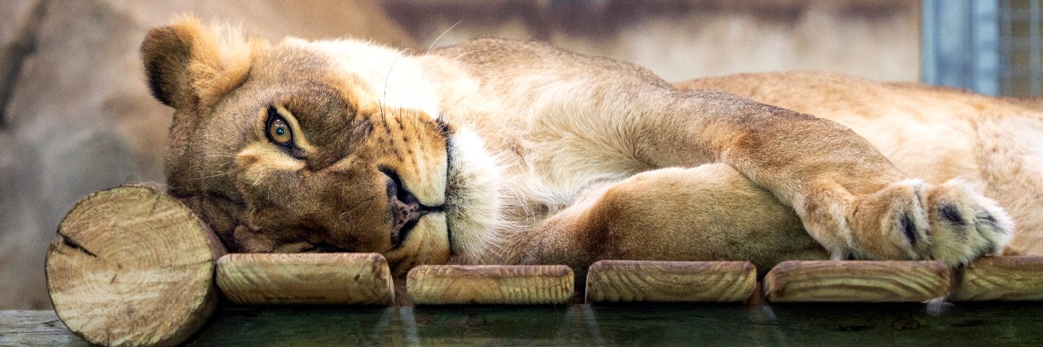 Potawatomi Zoo's banner