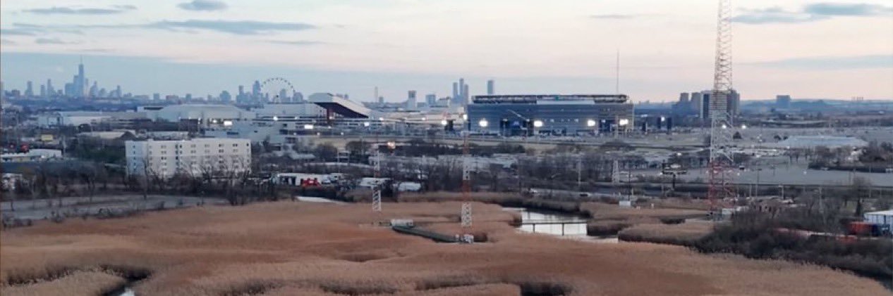 Giants Daily's banner