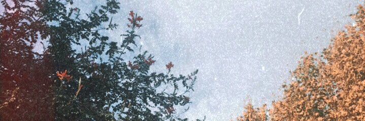 Í's banner
