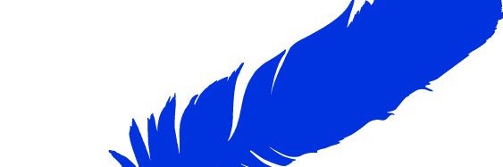 Tory Bruno's banner