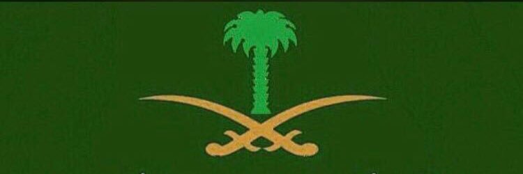 SeeF_NjD 🇸🇦💙💛🗡️'s banner