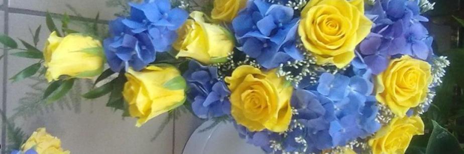 ♡.ꑭ✌Glory to Ukraine!🐦ꑭ's banner