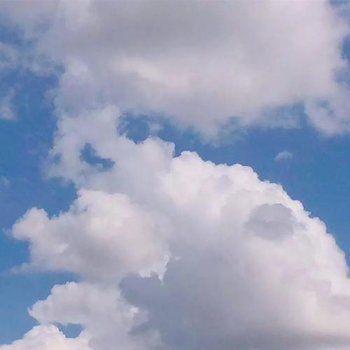 欲潮报料局's banner