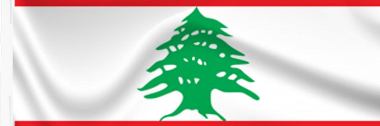Carole Zouein's banner