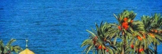 : عيد المرزوقي : Eid Al Marzouqi's banner